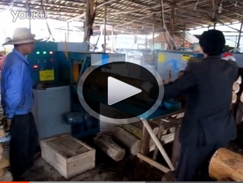 原木多片鋸25機客戶現場