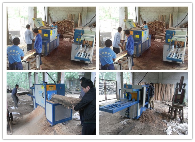 湖南岳陽--原木多片鋸、方木多片鋸工作圖