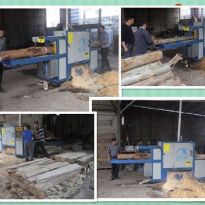 廣東-中山-鋸桉木25原木多片鋸加工現場