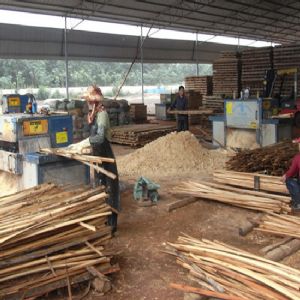 海南島-方木多片鋸加工現(xiàn)場0