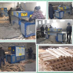 河南-南陽-原木多片鋸350-方木70多片鋸加工現場