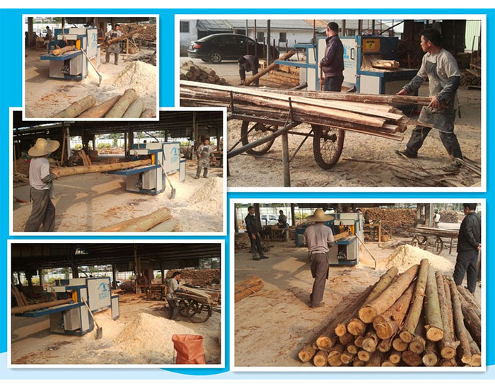 廣東-中山市-圓木多片鋸加工現場