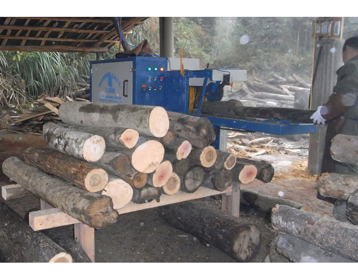 湖南省-韶陽市-圓木多片鋸250機型加工現(xiàn)場