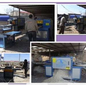 秦皇島-250原木多片鋸-方木150高多片鋸加工現場