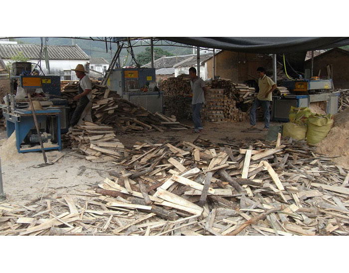 原木多片鋸350-廣東汕尾陸豐加工現場