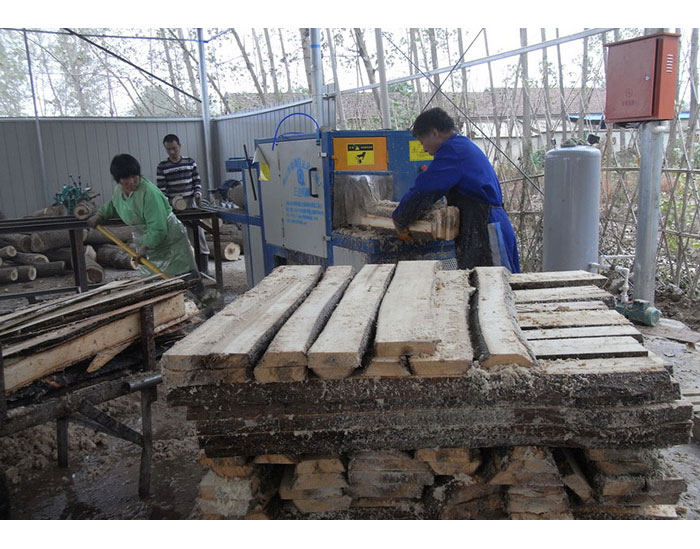 原木多片鋸-安徽合肥舒城加工現場